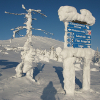 Frozen sign at the top of Yllas Finland