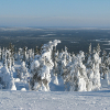 View from Yllas ski resort Finland